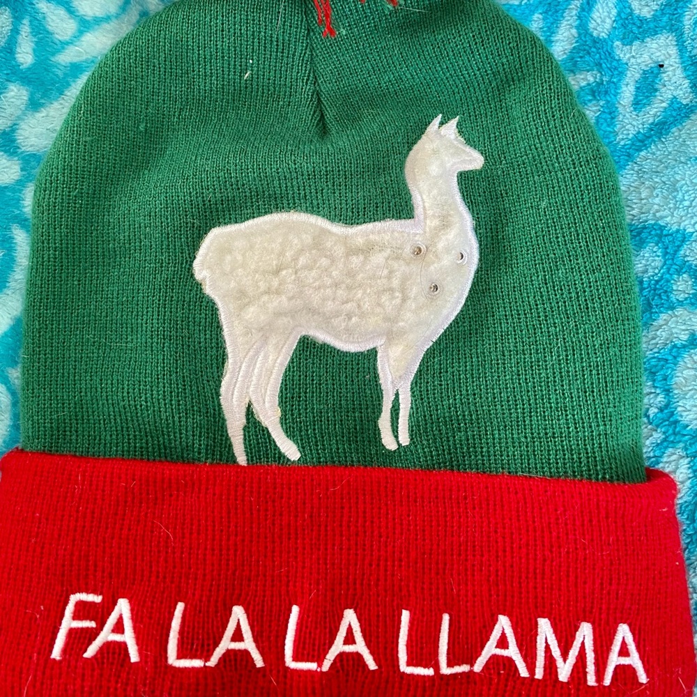 Fun, festive toboggan hat